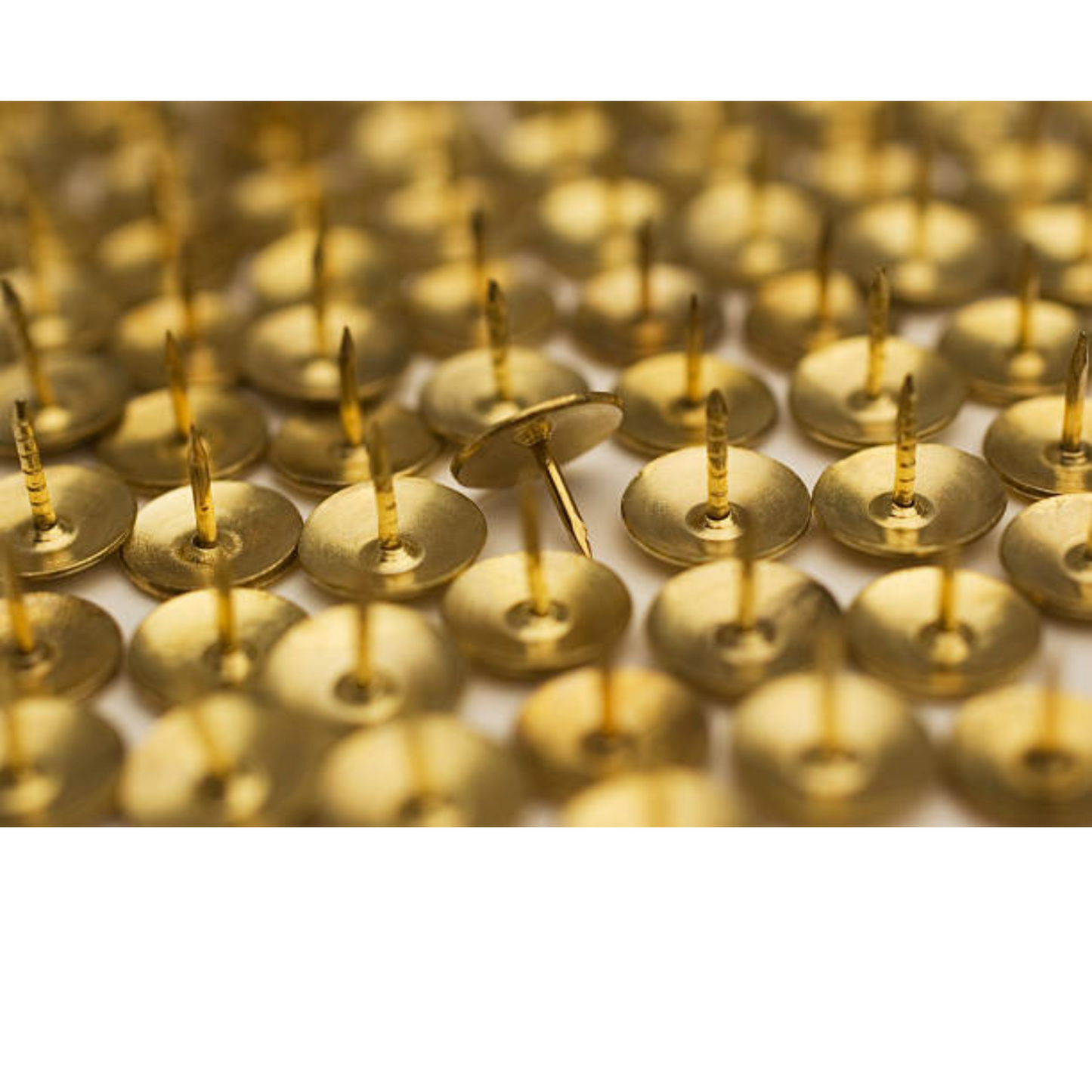 200x Strong Brass Drawing Pins Flat Head Push Cork Board Thumb Tacks Boxed Case