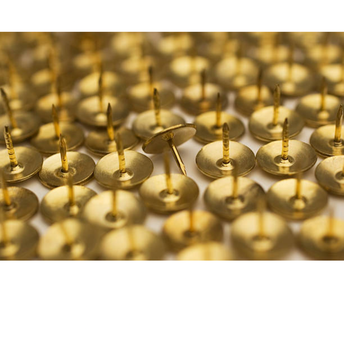 Drawing Pins Brass Golden Push Pins for Notice Boards/Crafts Thumb Tacks Office